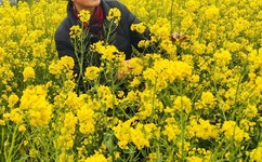 紫黑色蘑菇头律动紧致